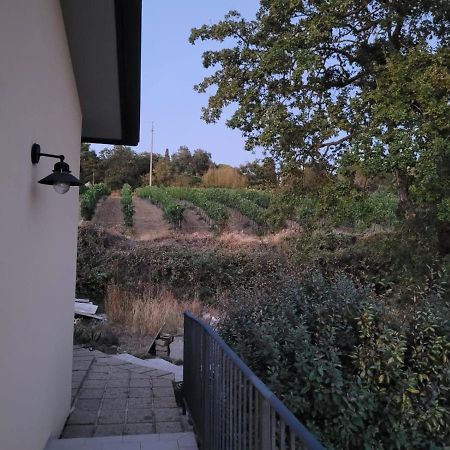 Gasthaus La Residenza Di Campagna Manciano Exterior foto