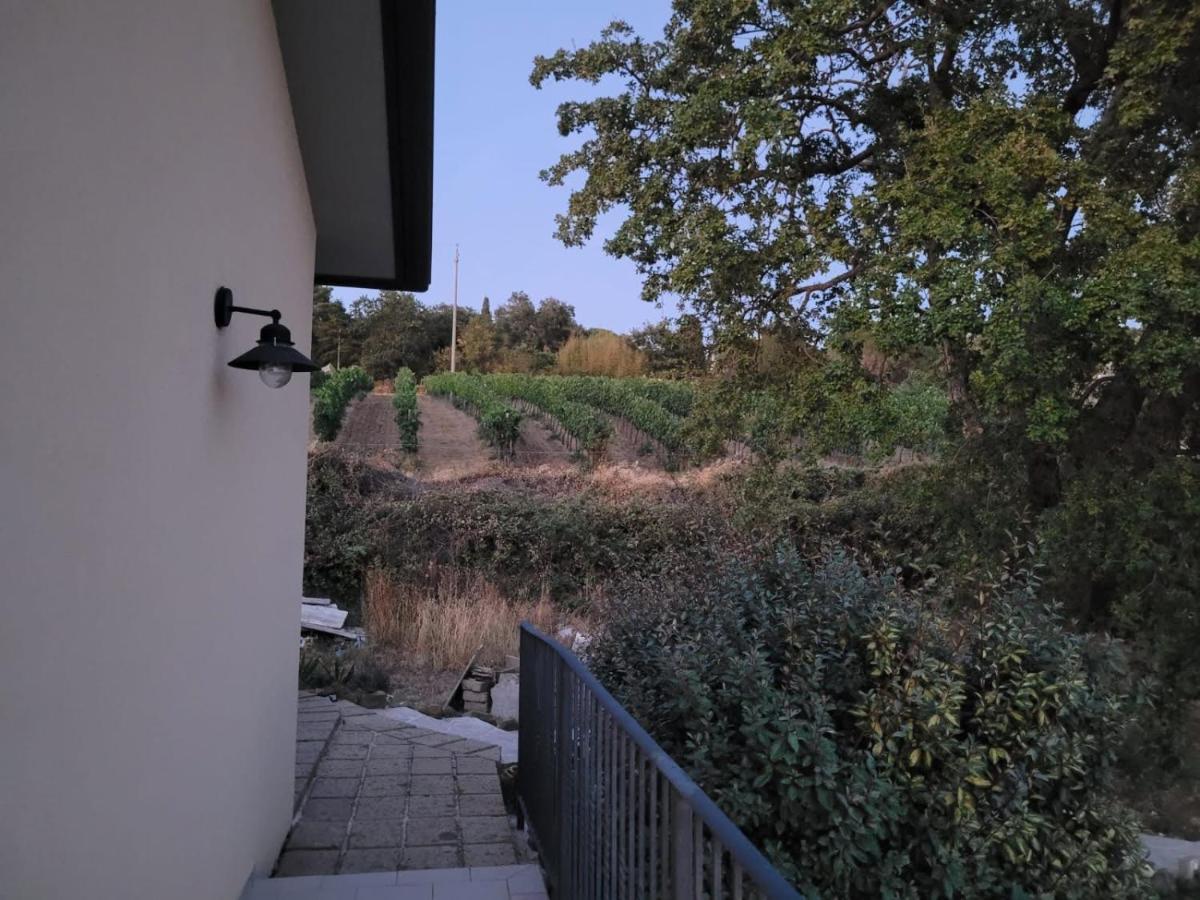 Gasthaus La Residenza Di Campagna Manciano Exterior foto