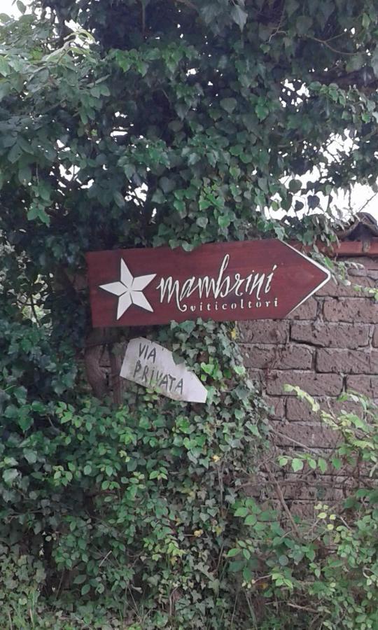 Gasthaus La Residenza Di Campagna Manciano Exterior foto
